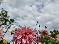 -昆明春城湖畔度假村