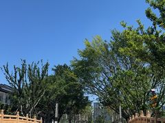 -江心屿景区