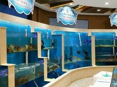 -福泉海码头(六里山店)