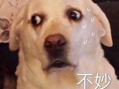 -围炉·川味鲜货火锅(万达珍珠坊店)
