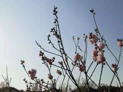 -院士公园