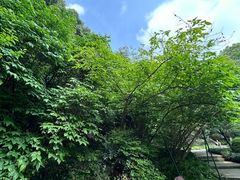 -吴山景区