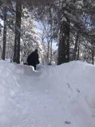 -大秃顶子山