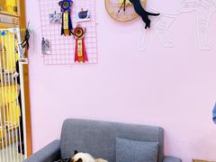 -爪爪喵星球·猫舍(前海卓越店)