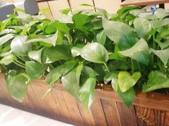 -眉州东坡(春秀路店)