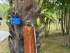 -中国科学院西双版纳热带植物园