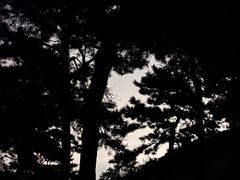 -鬼笑石后山停车场