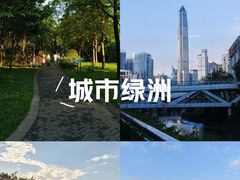 -福田红树林生态公园