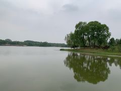 -东郊湿地公园