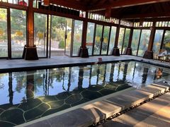 -东海森林温泉度假酒店