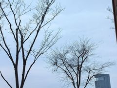 -蟹家大院 · 独揽江景(滨江店)
