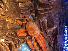 -阿伟海鲜楼·福建菜(延寿店)