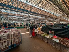 -重振华中蔬菜批发市场(重庆中路店)