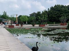 -白马涧龙池景区