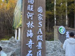 -汤旺河林海奇石景区