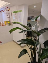 -塑青春&伊肤泉祛痘皮肤管理