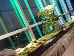 -同庆楼(天鹅酒家店)