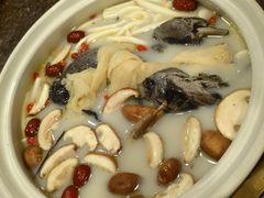 四菌双凤煲-钦善斋(武侯祠店)