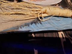 -千岛蚝高压锅生蚝·人参火锅(白云万达店)