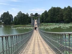-东湖落雁景区