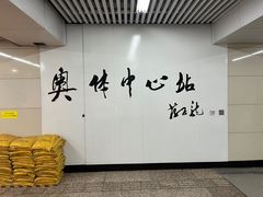 -奥体中心(地铁站)