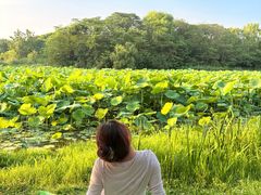 -白鹭湾湿地公园