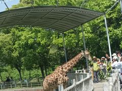 -常州淹城野生动物世界