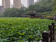 -龙头寺公园