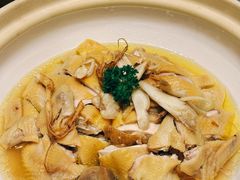 -美食小镇·观赏珍稀鸟类·长隆熊猫酒店