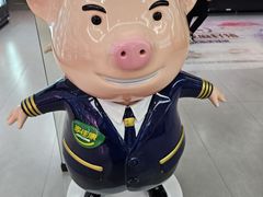 -中粮家佳康肉食(花市专卖店)