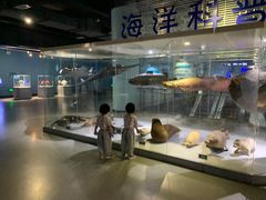 -泉城欧乐堡海洋极地世界
