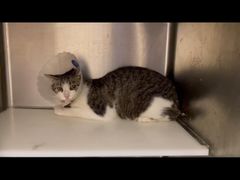 -萌兽医馆·犬猫专科·眼科中心·宠物医院(朝阳门分院)