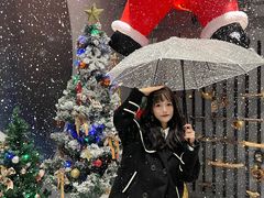 -小淘圆儿·四季口味蛋糕