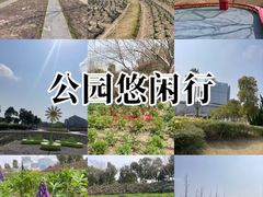 -春花秋色城市公园