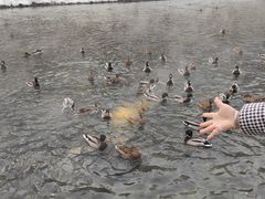 -水磨沟公园
