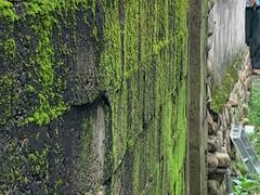 -前童古镇