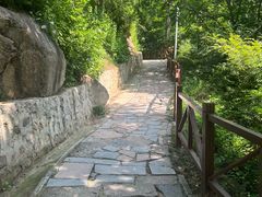 -大岭沟猕猴桃谷风景区