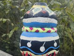 -西双版纳原始森林公园