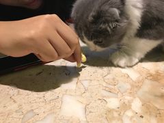 -INLOVE KTV(世博源店)