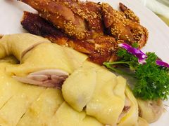 白切鸡芝麻鸡双拼-益利大酒楼(井岸店)
