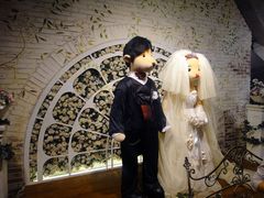 -济州岛泰迪熊博物馆