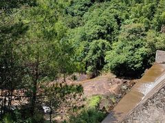 -广州白江湖森林公园