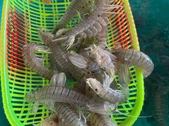 -花乐餐厅(涠洲岛店)