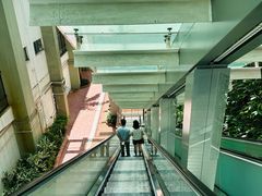 -香港大学