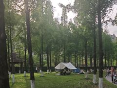 -成都南湖公园