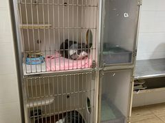 -派特宠物医院(圆融广场店)