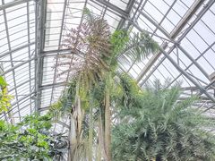 -南山植物园