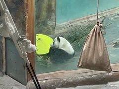 -青藏高原野生动物园
