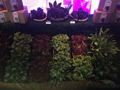 有机蔬菜喔-王家渡火锅(金宝汇店)