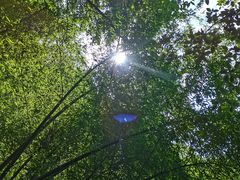 -藏龙百瀑风景区